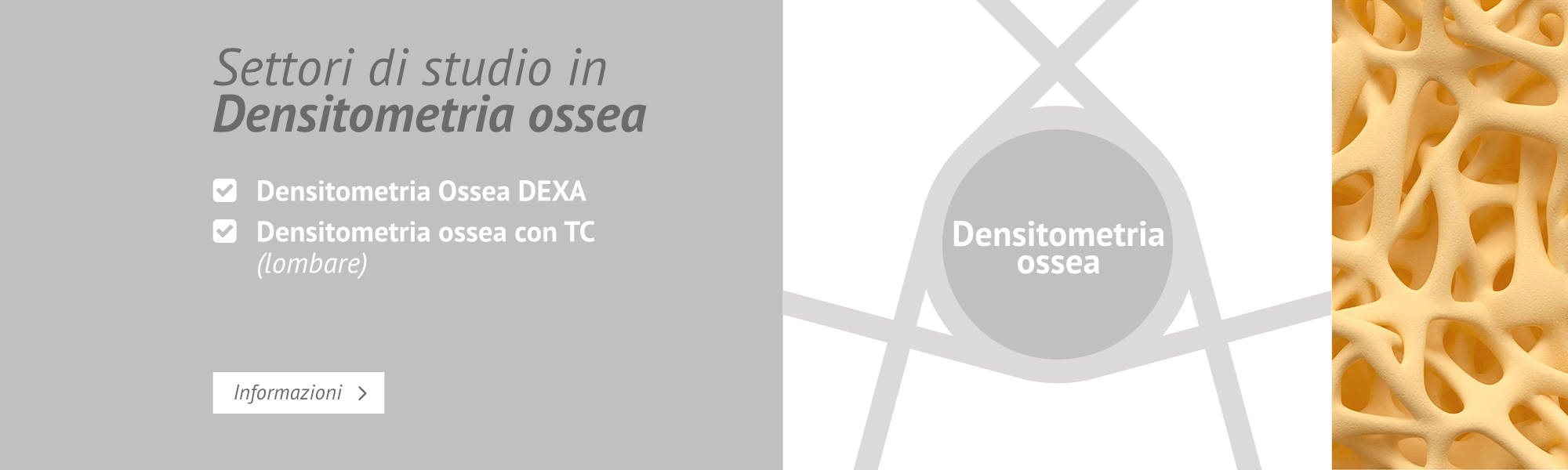 Densitometria Ossea